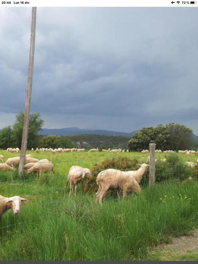 Vistas A La Montana En Un Pueblo Con Encanto. El Pueyo de Araguás 外观 照片