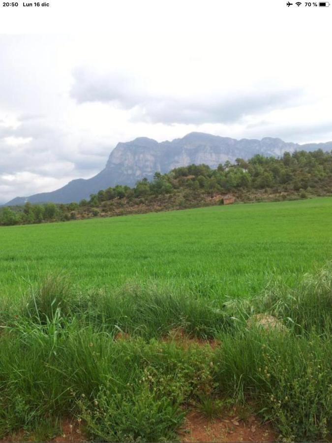 Vistas A La Montana En Un Pueblo Con Encanto. El Pueyo de Araguás 外观 照片