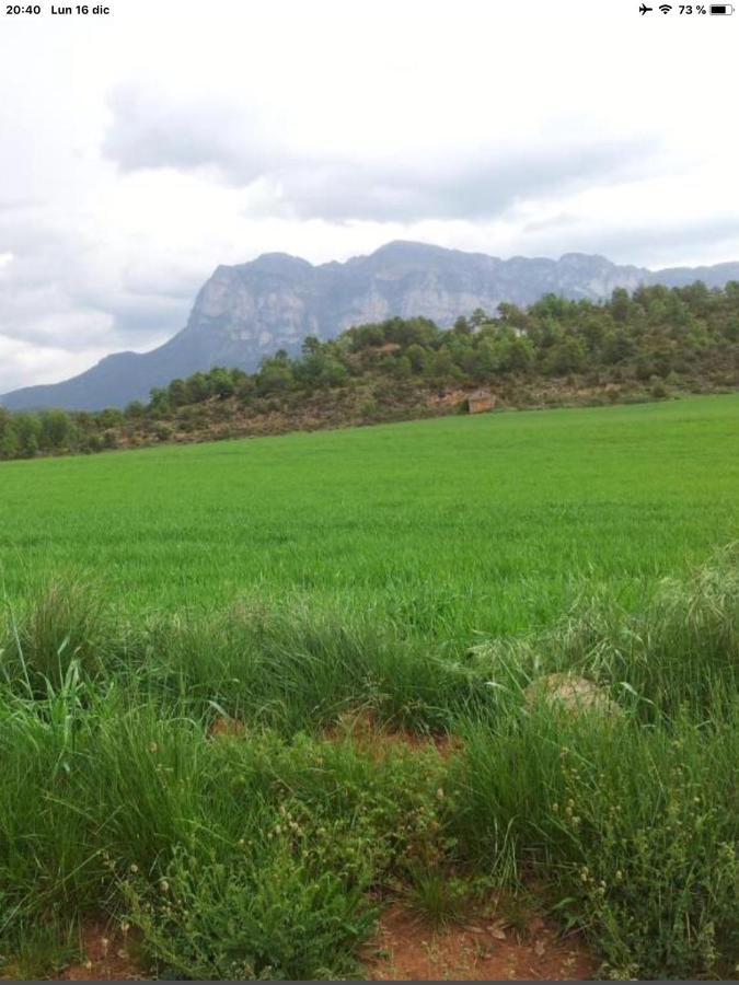 Vistas A La Montana En Un Pueblo Con Encanto. El Pueyo de Araguás 外观 照片