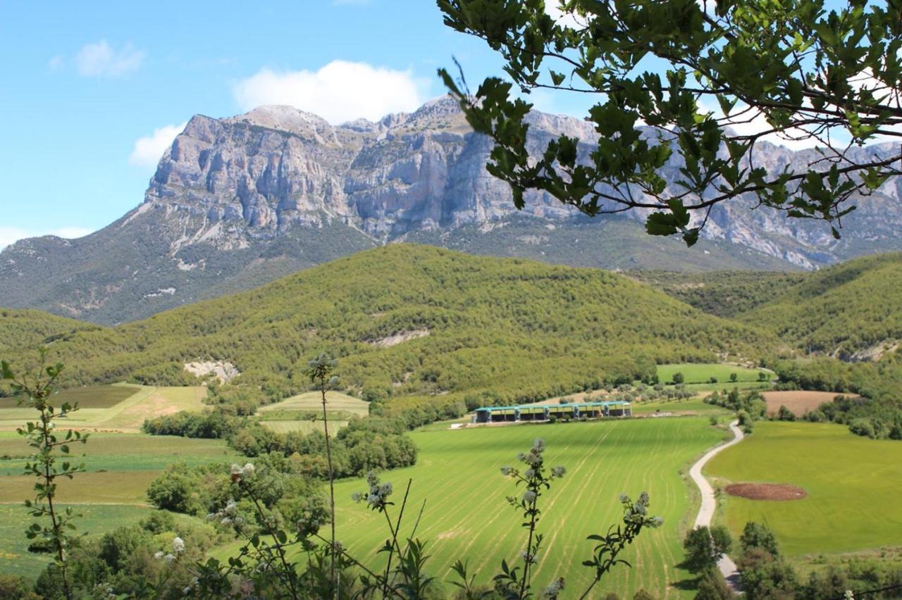 Vistas A La Montana En Un Pueblo Con Encanto. El Pueyo de Araguás 外观 照片